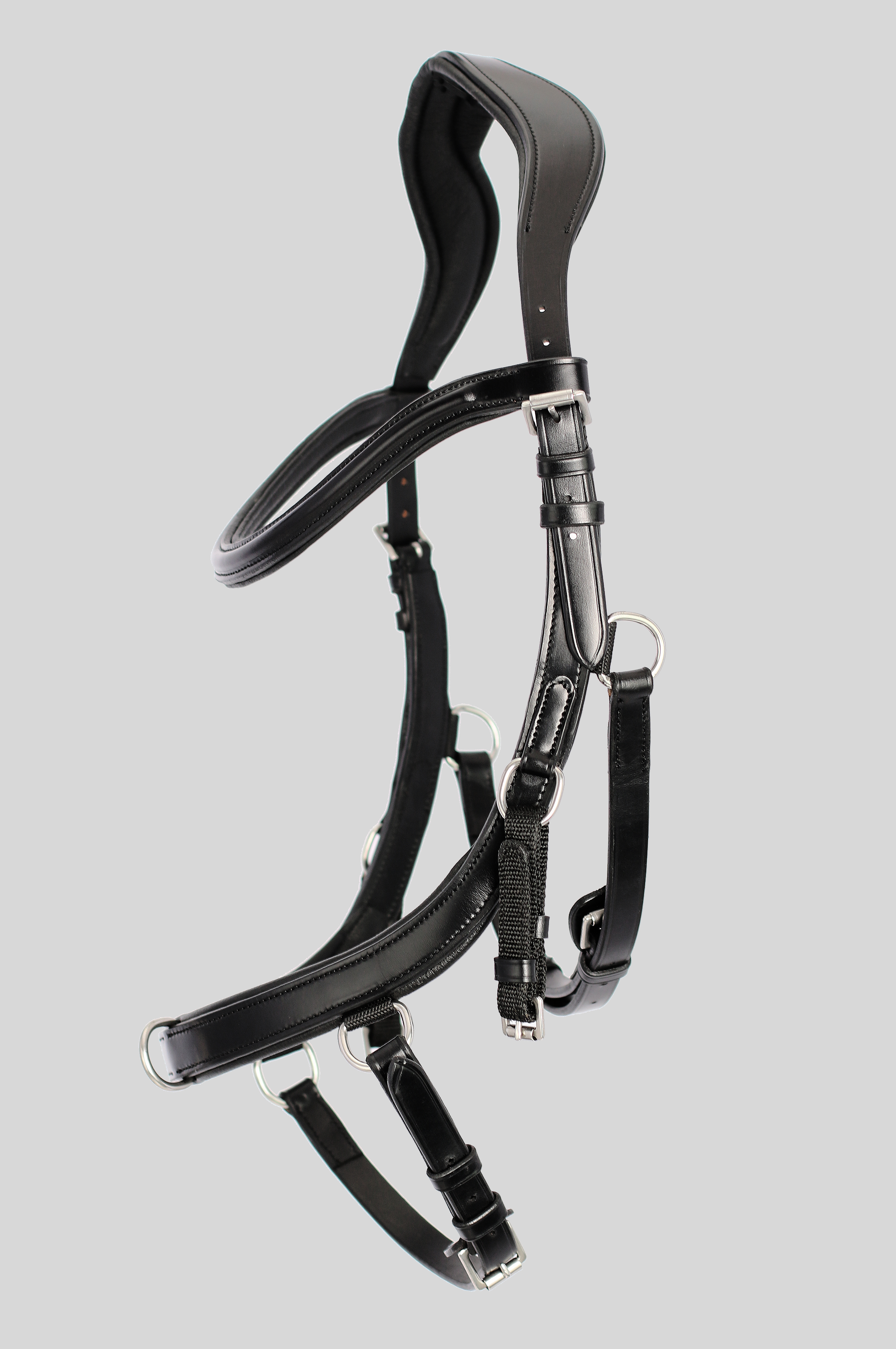 Training Bridle