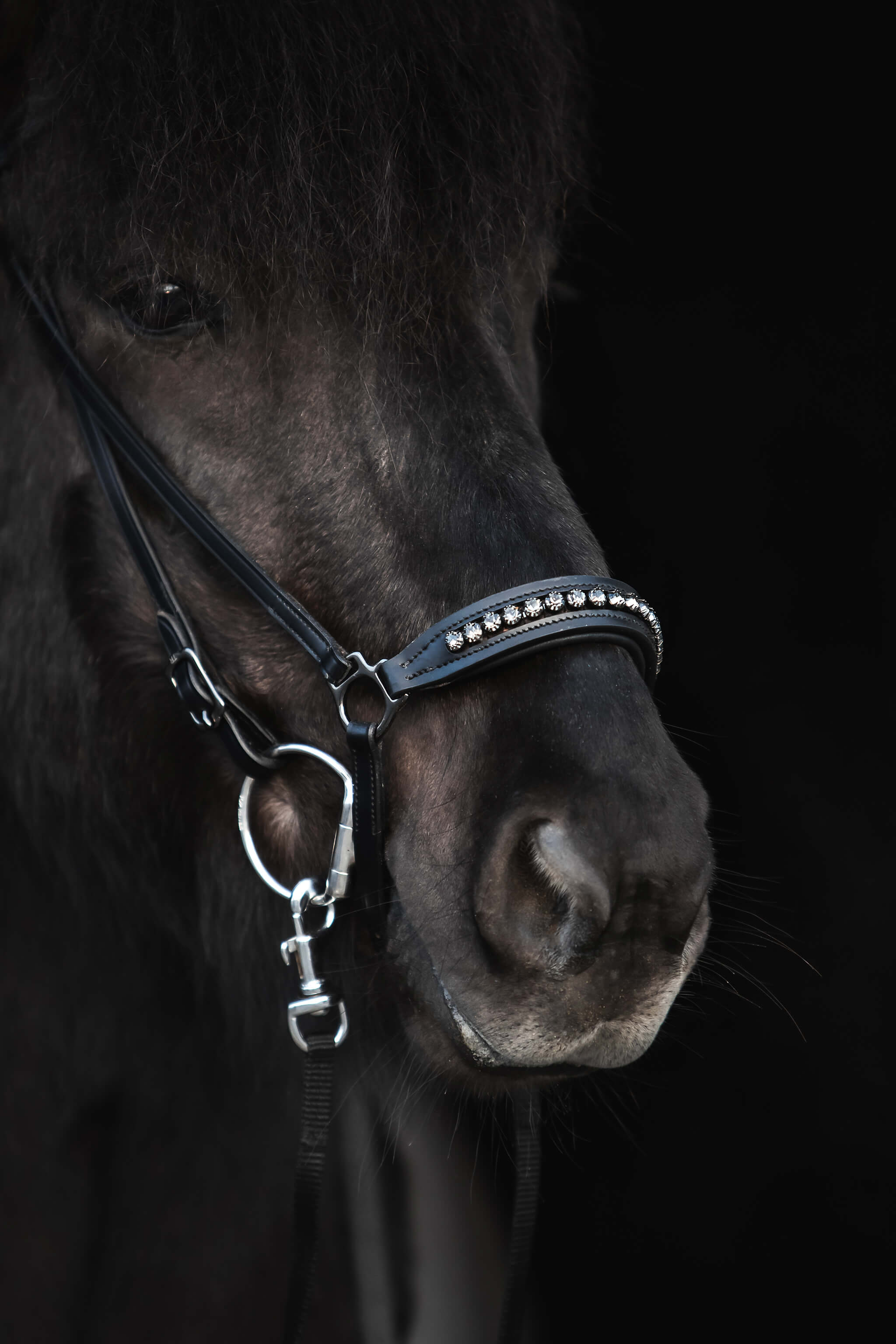 Diamond Noseband