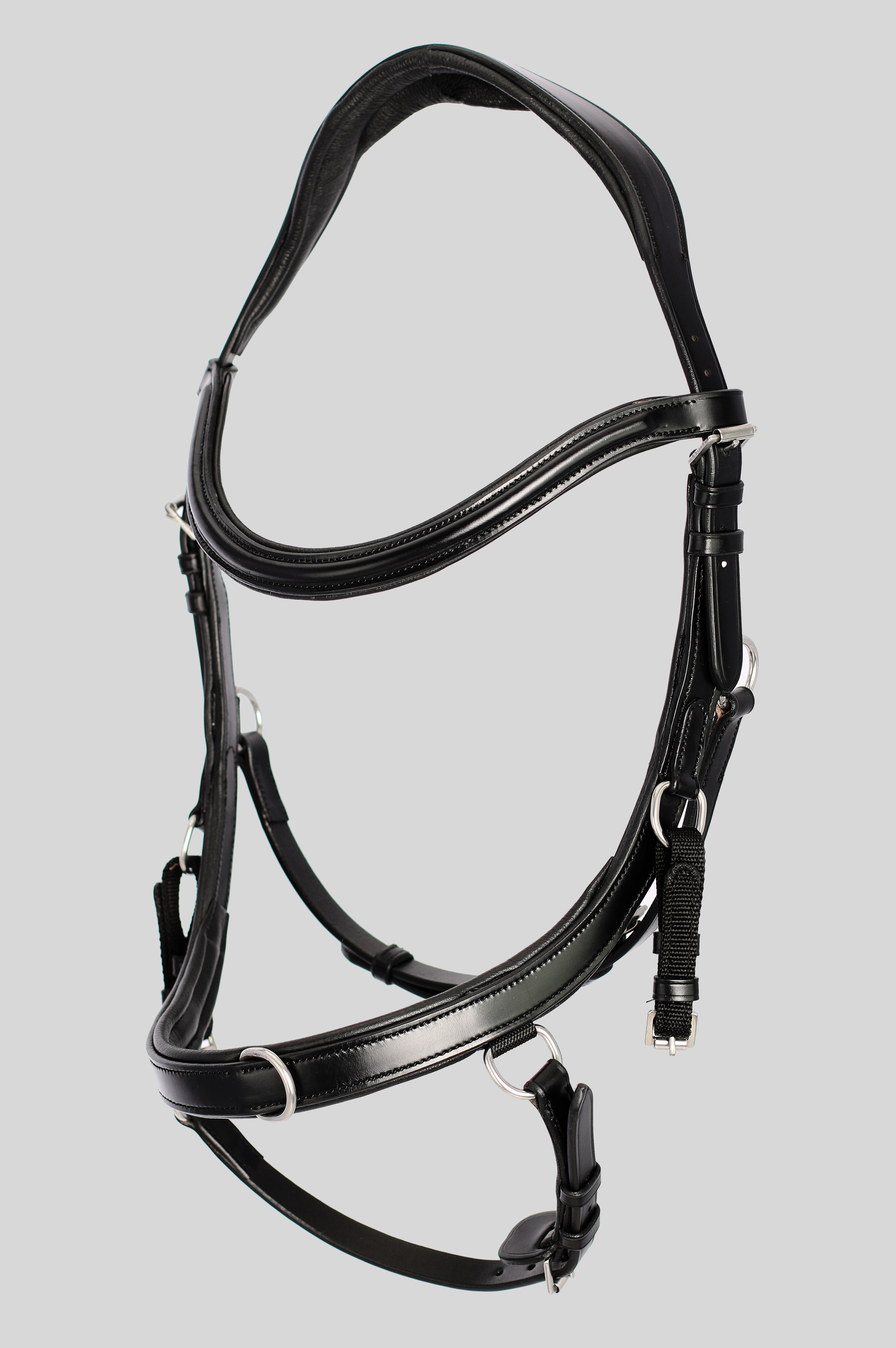 Training Bridle