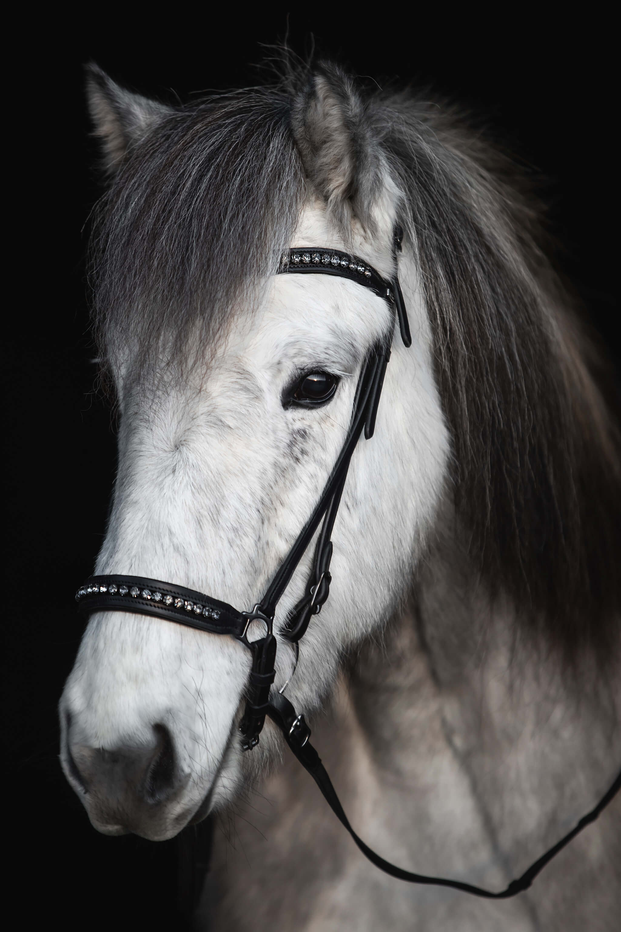 Diamond Headstall