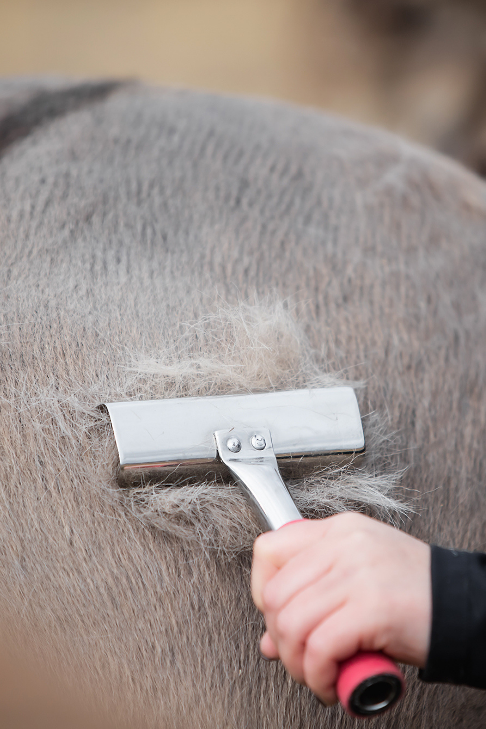 Fellkratzer mit Gel-Griff