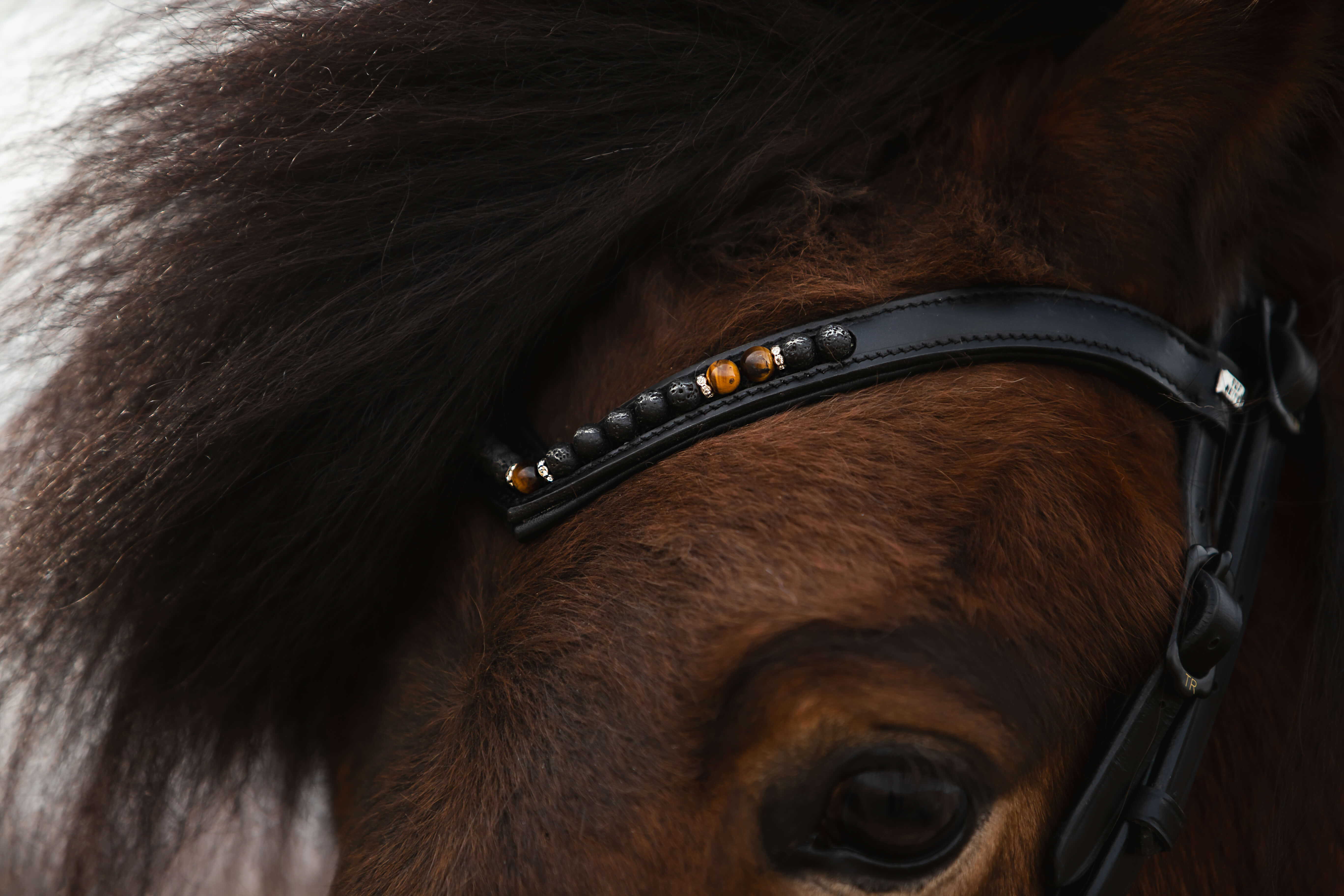 Orka Headstall