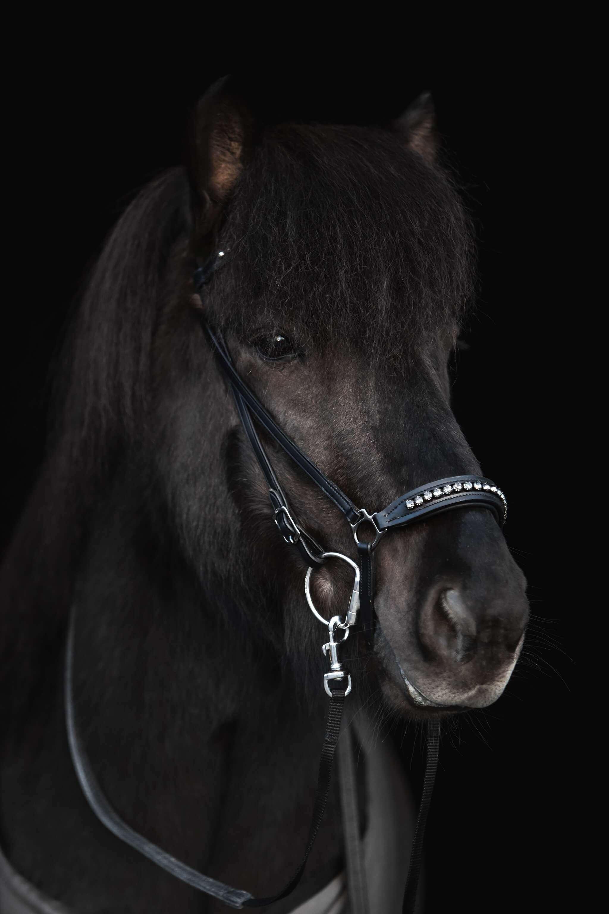 Diamond Noseband