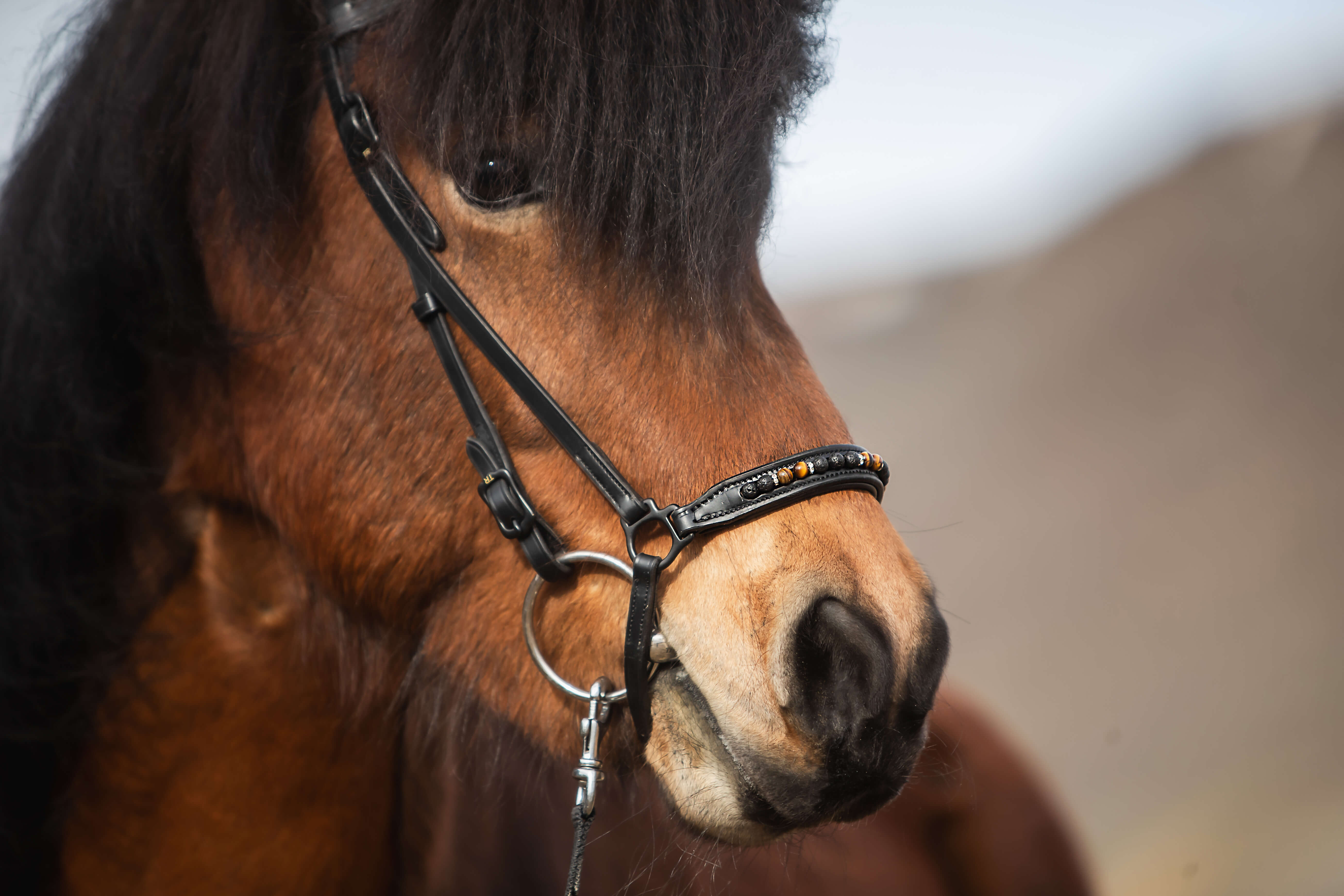 Orka Noseband