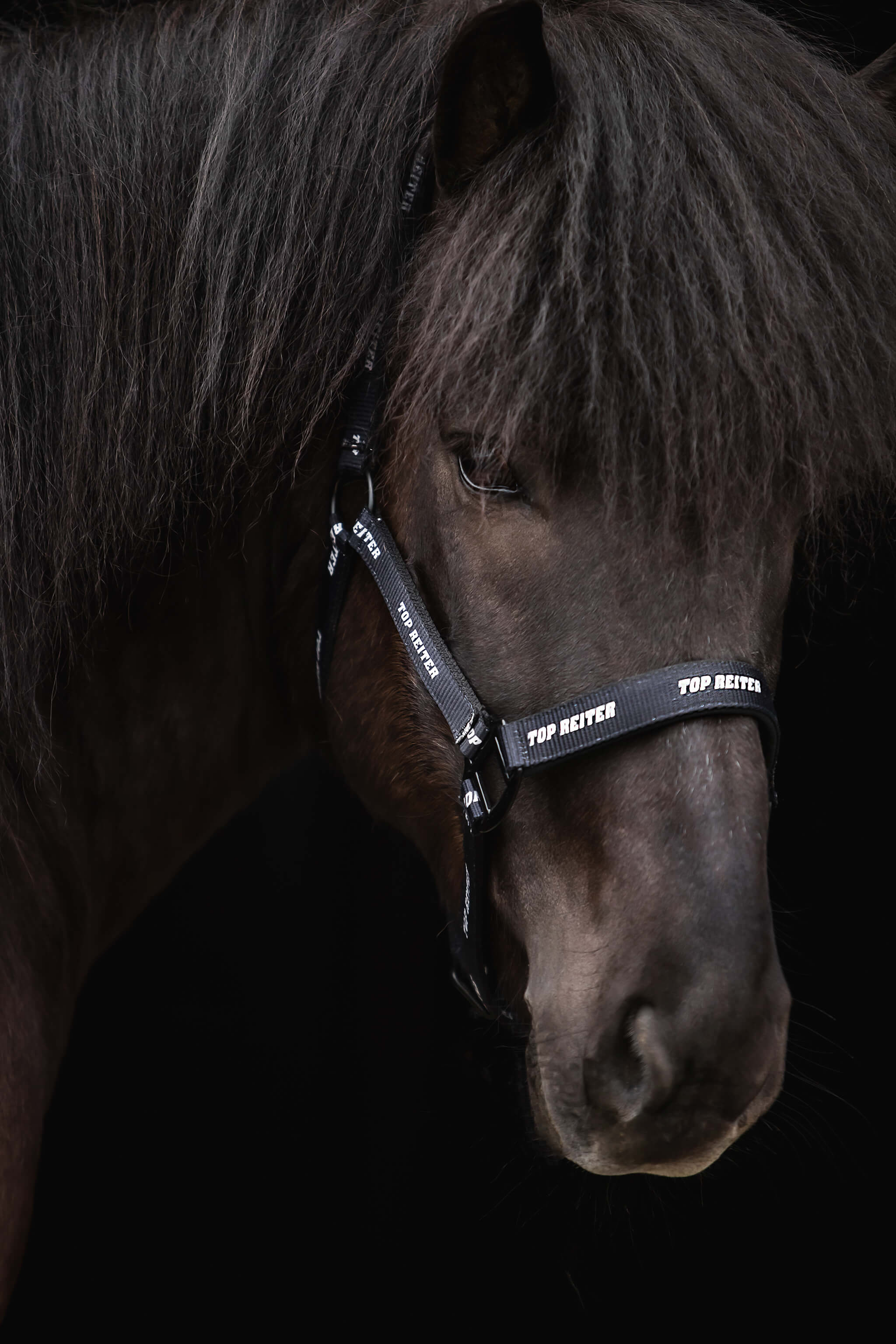 TR Logo Halter