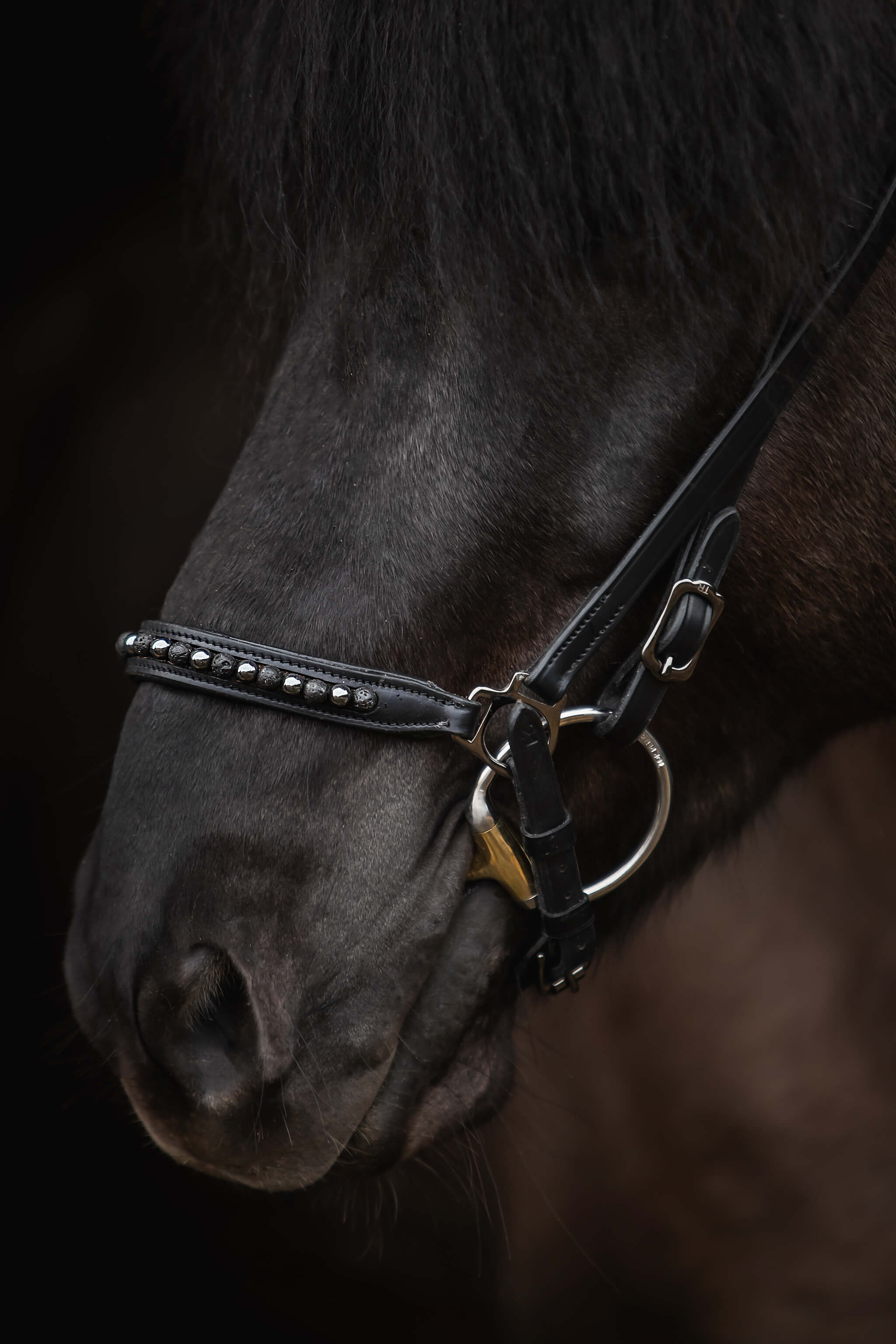 Kjarkur Noseband