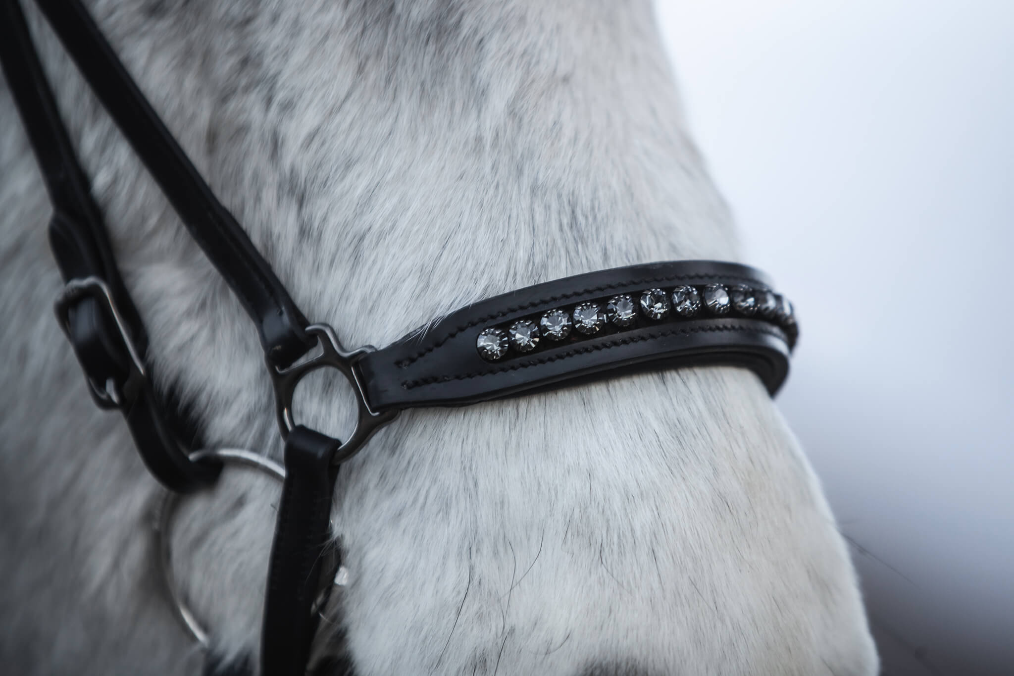 Diamond Noseband