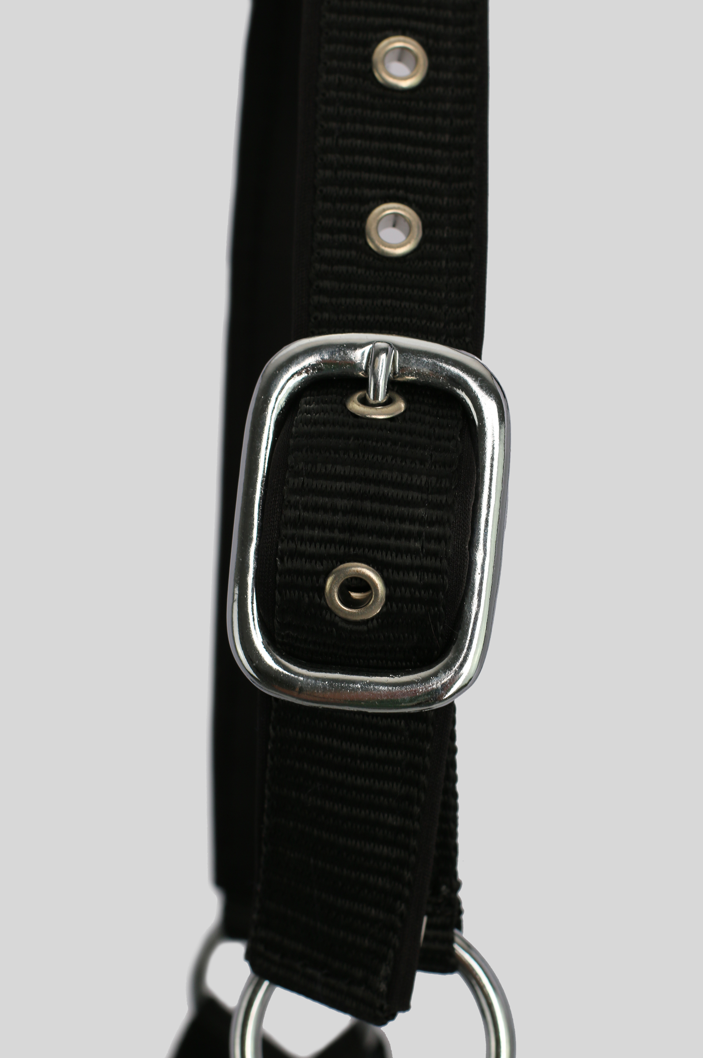 TR II Halter