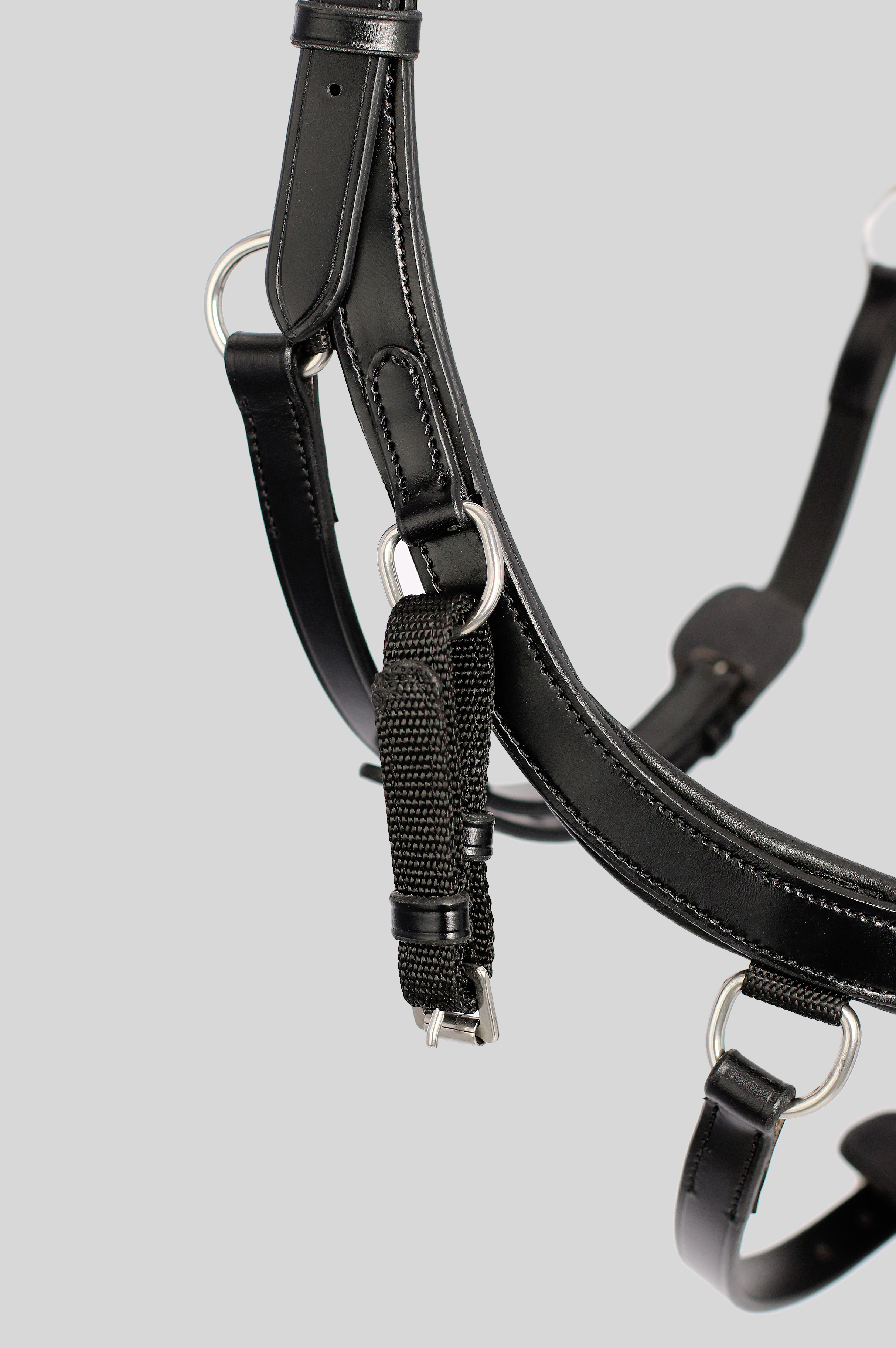 Training Bridle