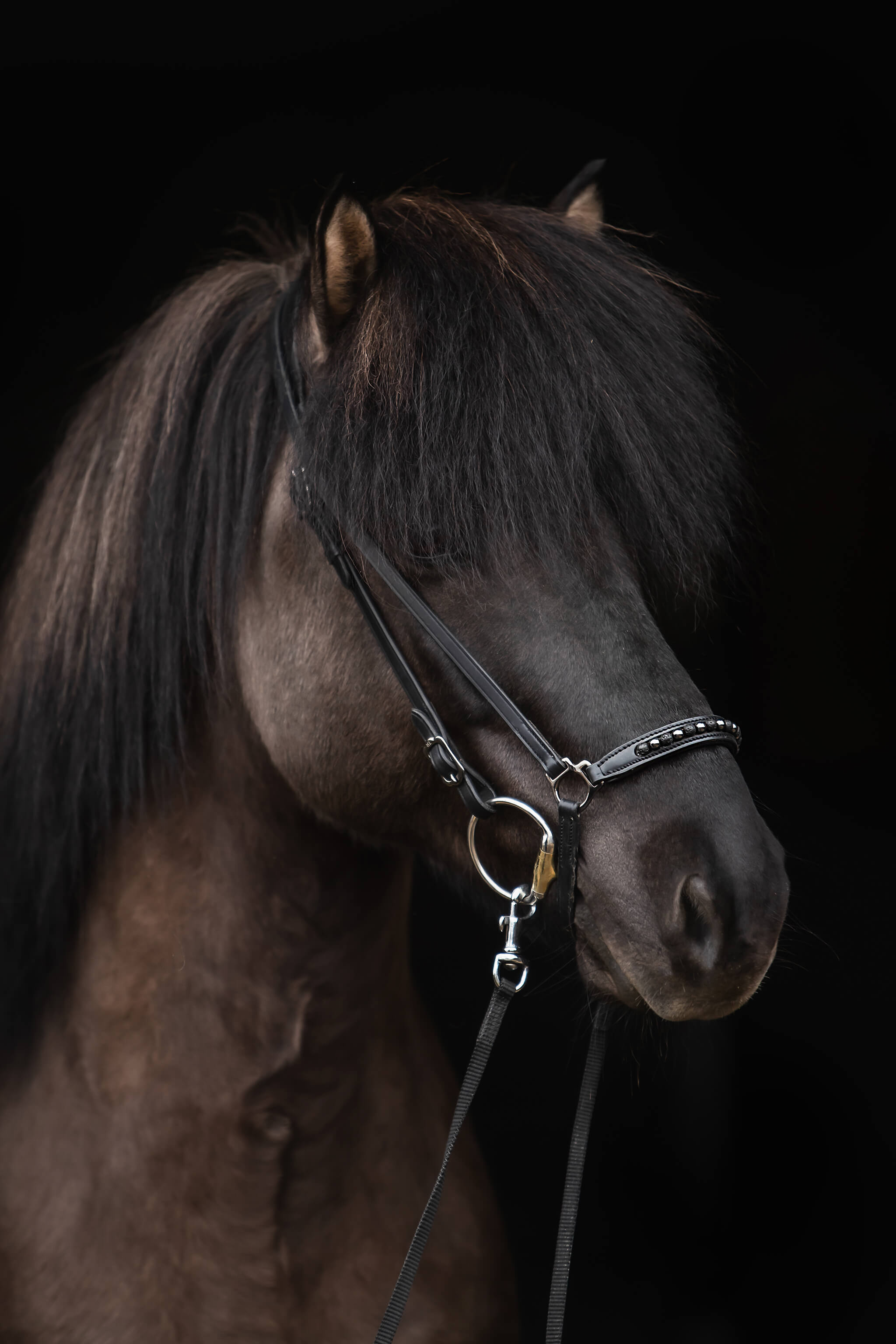 Kjarkur Noseband