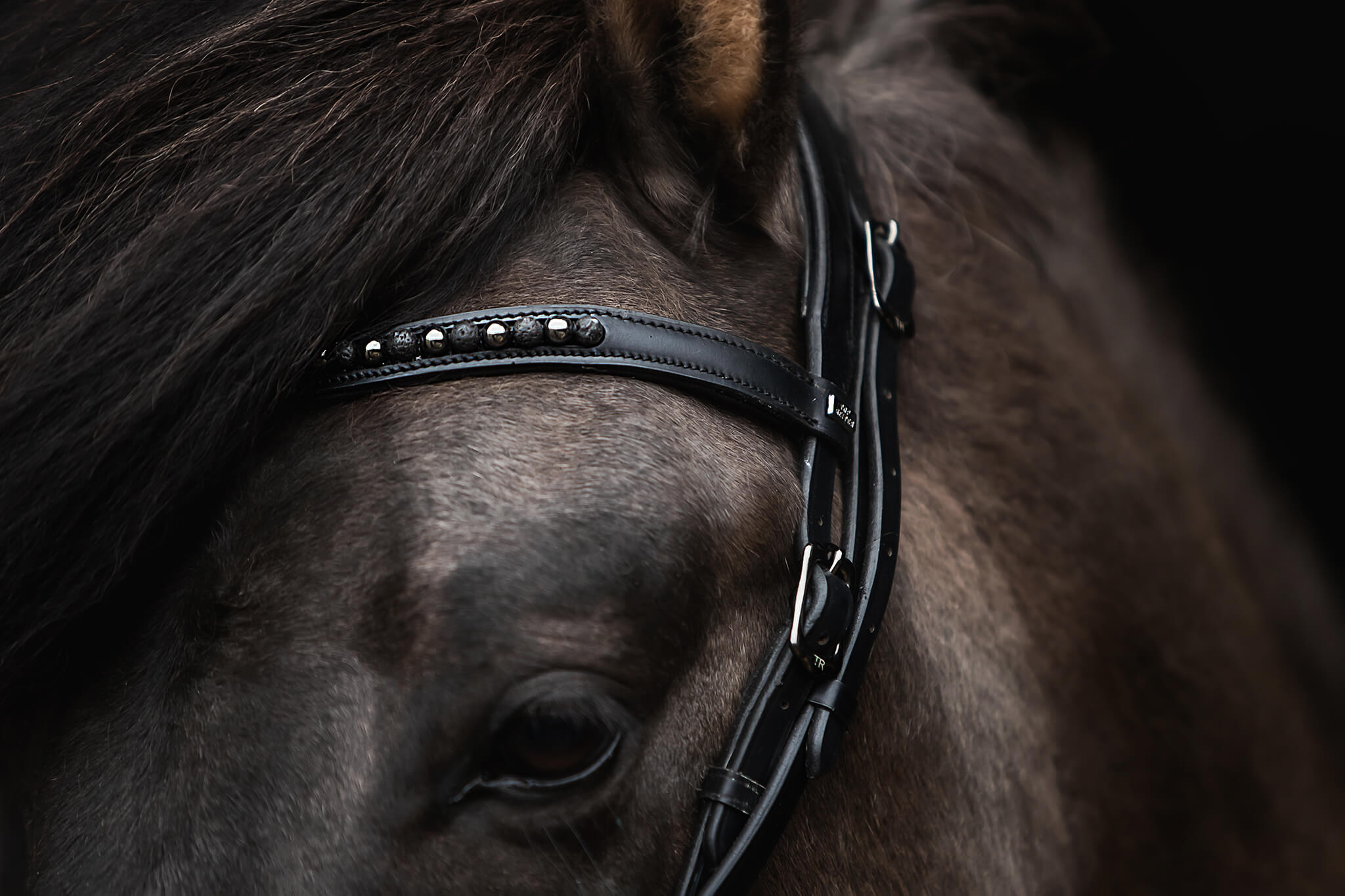 Kjarkur Headstall