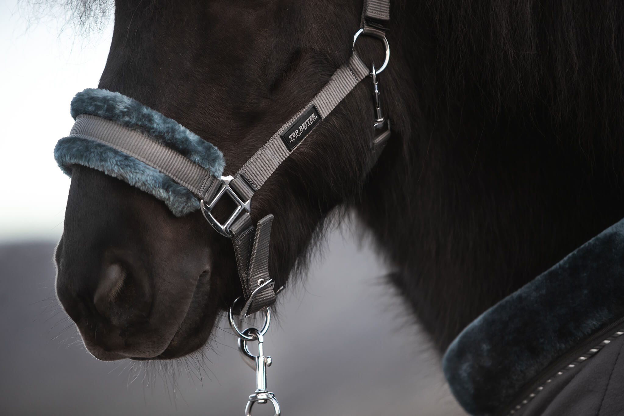 Soft Line Halter