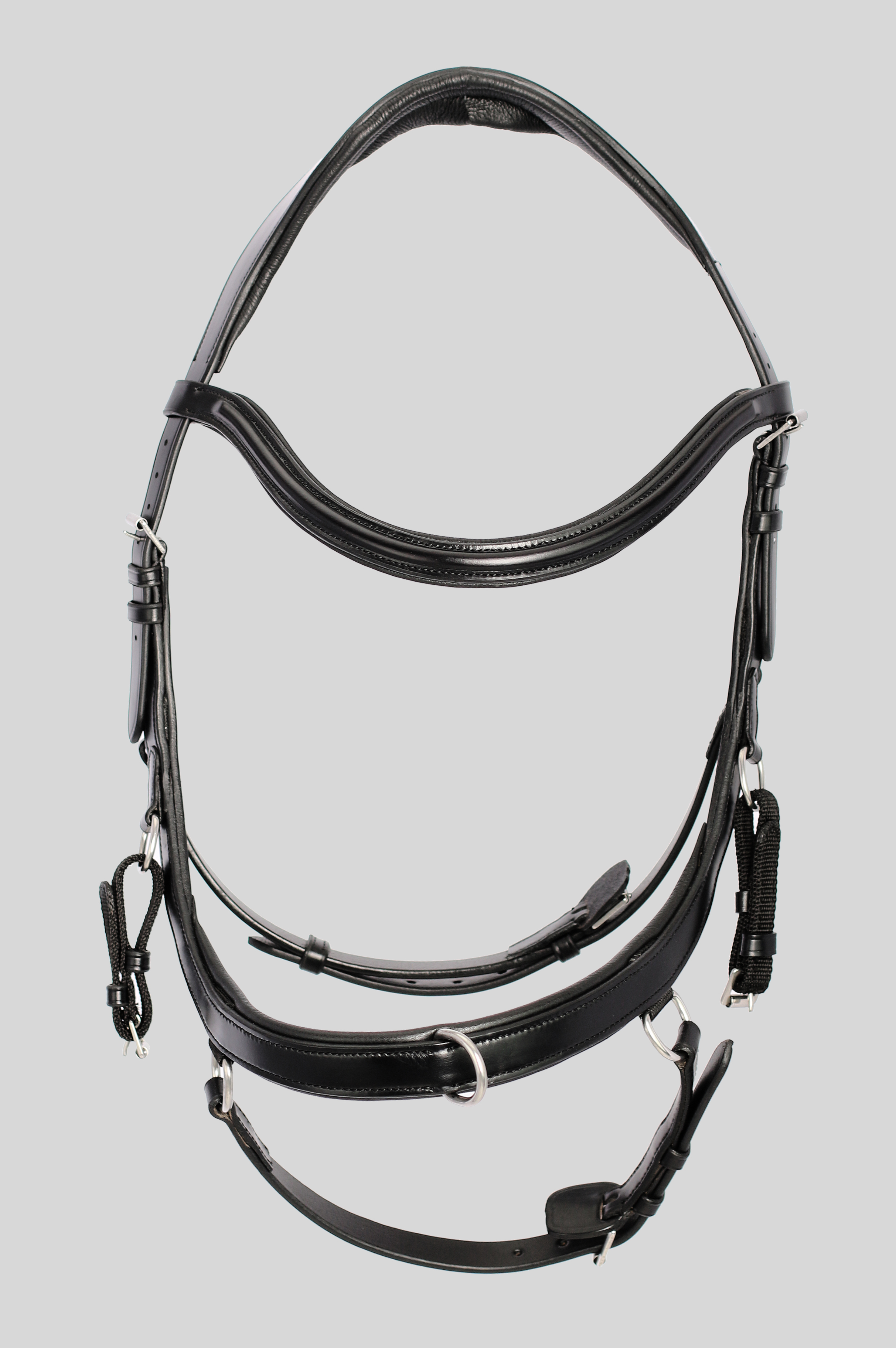 Training Bridle