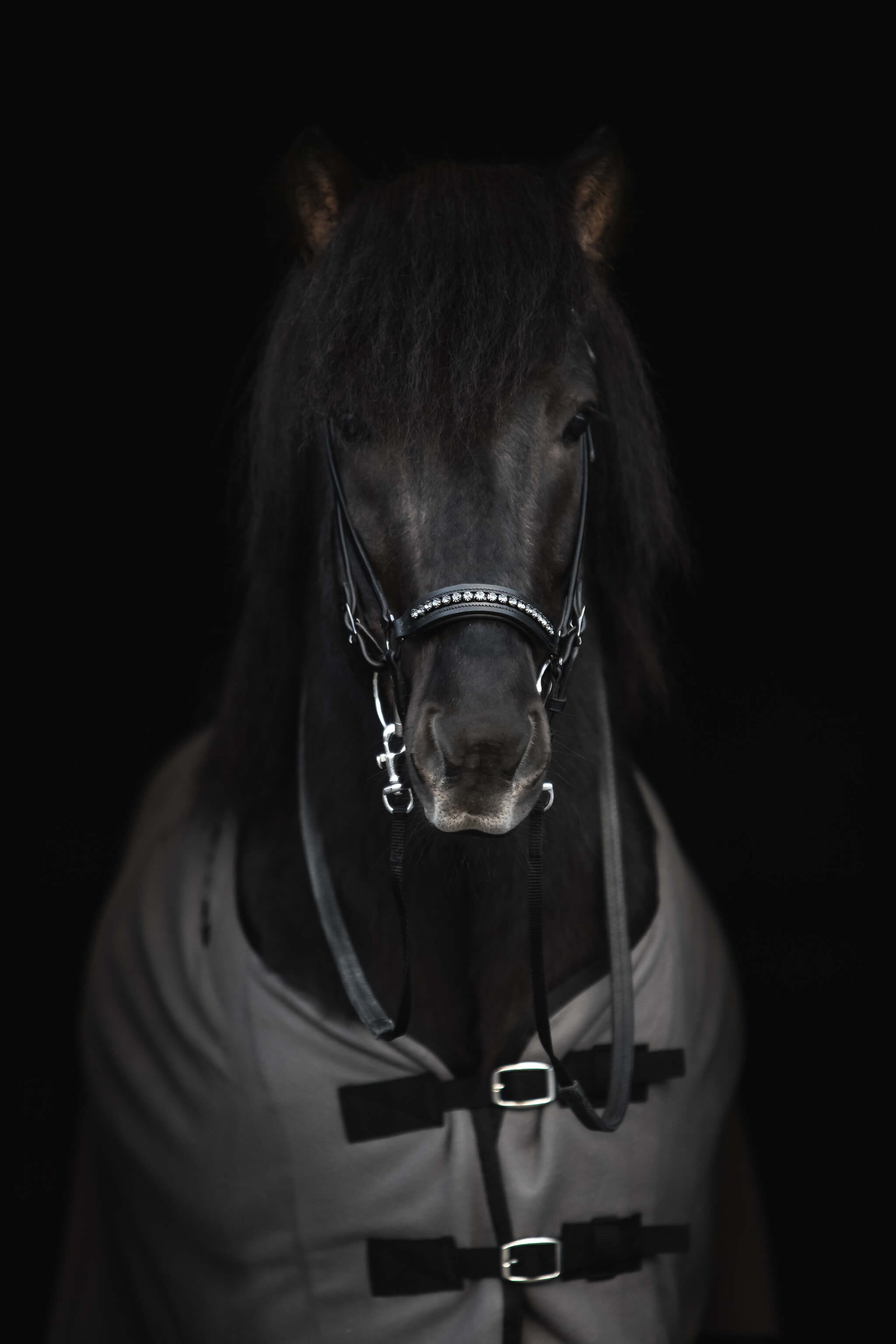 Diamond Noseband