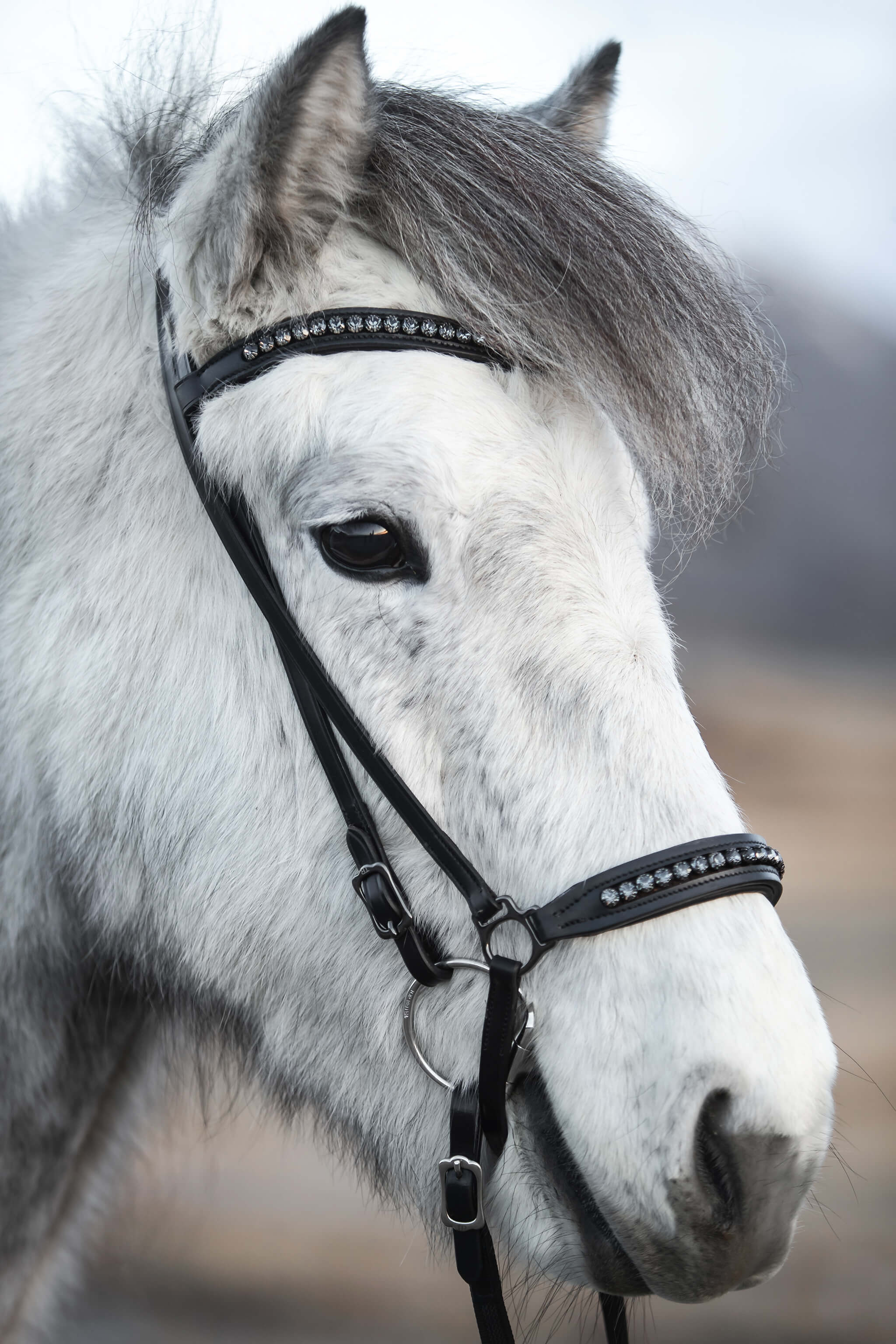 Diamond Headstall